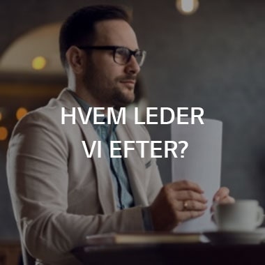 Hvem leder vi efter?