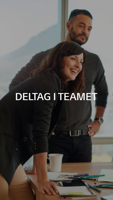 DELTAG I TEAMET