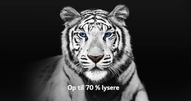 En video, der viser 2 billeder af en hvid tiger side om side. Den side, der repræsenterer Brightness Booster Max, vises op til 70 % lysere og fylder derefter hele skærmen.