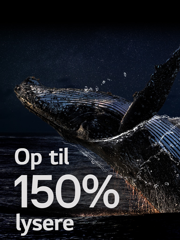 En hval, der springer op af havet på en sort baggrund. Ordene "op til 150 % lysere" vises over valgene og bliver lysere.