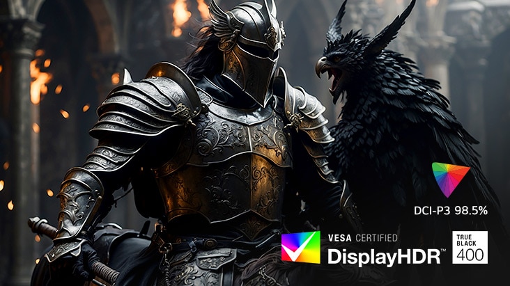 Ridder i sort rustning med en fugl en middelalderhal fremhæver DCI-P3 98,5 % og DisplayHDR 400.