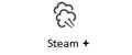 Steam