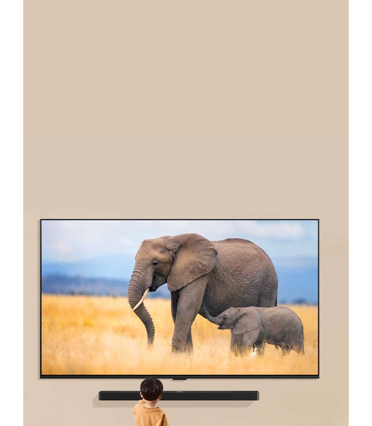 An LG TV mounted on a living room wall with an LG Soundbar mounted directly under. The TV displays two elephants, and a small child stands in front of the TV.	