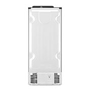 LG Top Mount Refrigerator 393 Liter, GN-C562SGCL