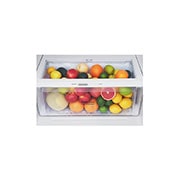 LG 592L LG Top Freezer LinearCooling™ㅣ Dispenser, GR-F822HLHU