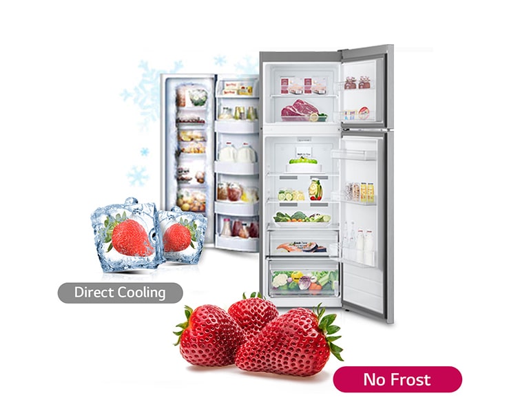 Expressing the function of a frost-free refrigerator with strawberries