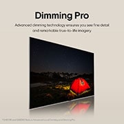 Dimming Pro
