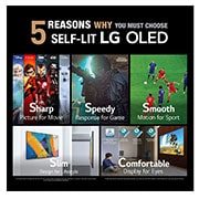 LG OLED TV 48 Inch C1 Series, Cinema Screen Design 4K Cinema HDR WebOS Smart AI ThinQ Pixel Dimming, OLED48C1PVB