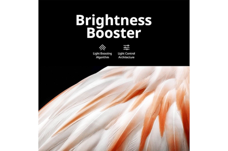 Brightness Booster