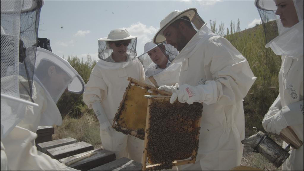 Imagen de un equipo de apicultores con panales de abejas