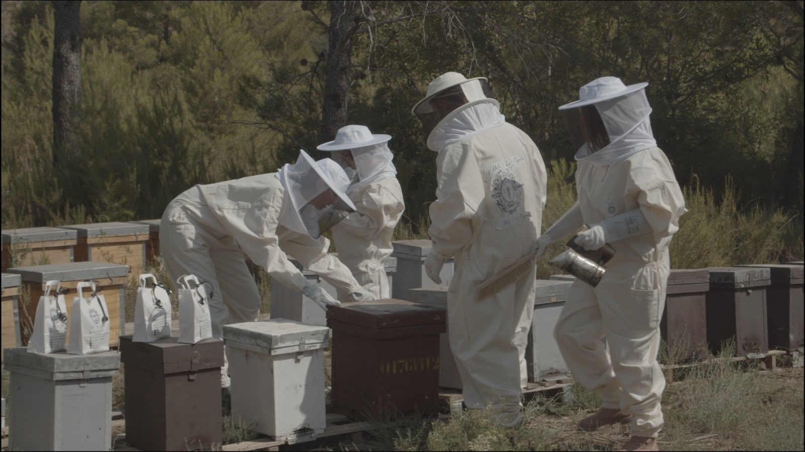 Imagen de un equipo de apicultores trabajando