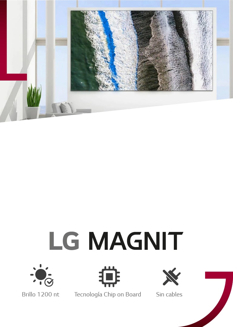 Display Profesional LG Magnit