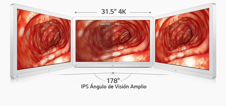 31.5" 4K : Full HD 4K, IPS Ángulo de visión amplio : 178°