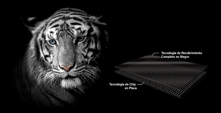Una cara de tigre blanco para resaltar el color negro