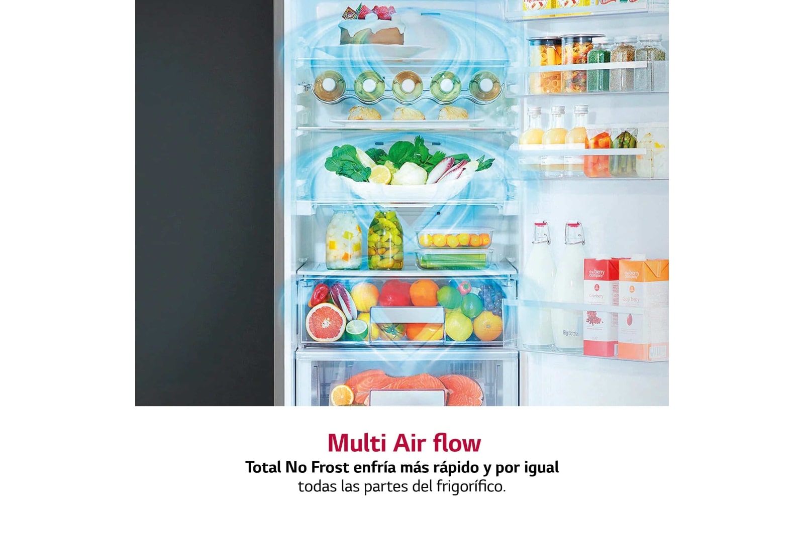 LG Frigorífico integrable, Smart Inverter, Clasificación E, 273l, GR-N266LLR