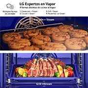 LG Horno Pirolítico Instaview Vapor 76L A++ con sistema de limpieza Blue EasyClean, acero inoxidable, WS9D7651WS