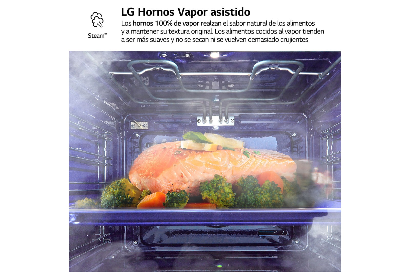 LG Horno Instaview Vapor 100% 76L A++ con sistema de limpieza Blue EasyClean, cristal negro mate, WS9D7672WM