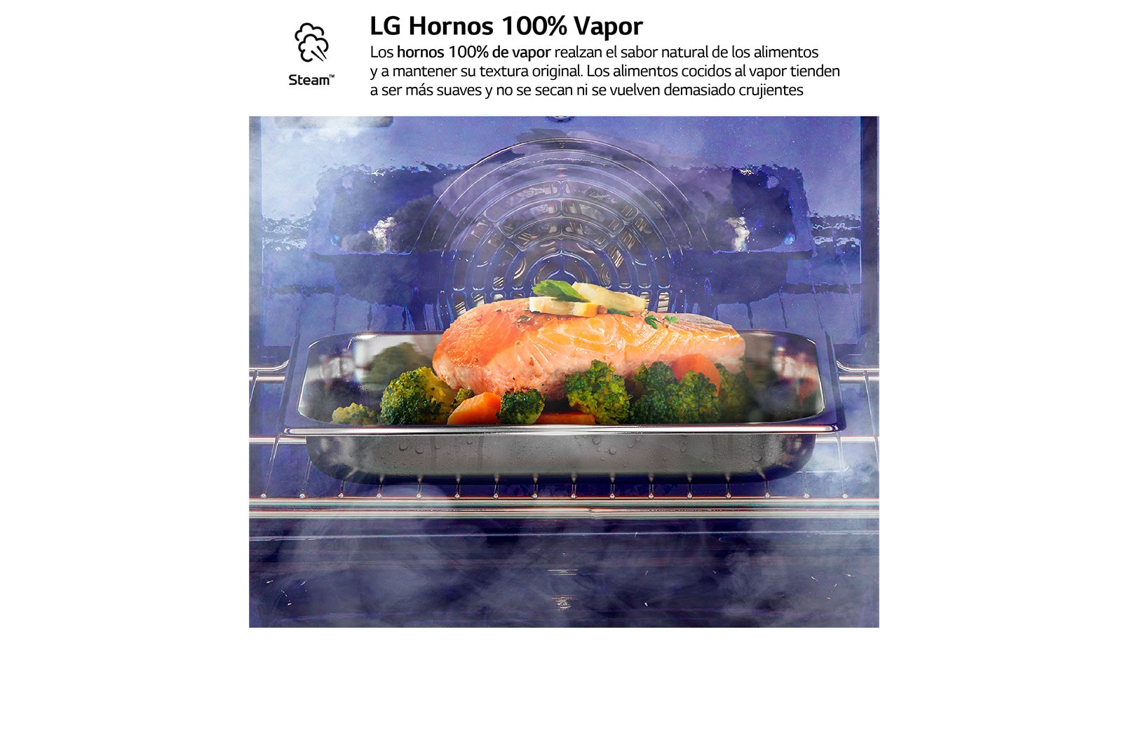 LG Outlet Horno LG Instaview 76 litros A++ Freidora de Aire, WSED7667M.OUTLET