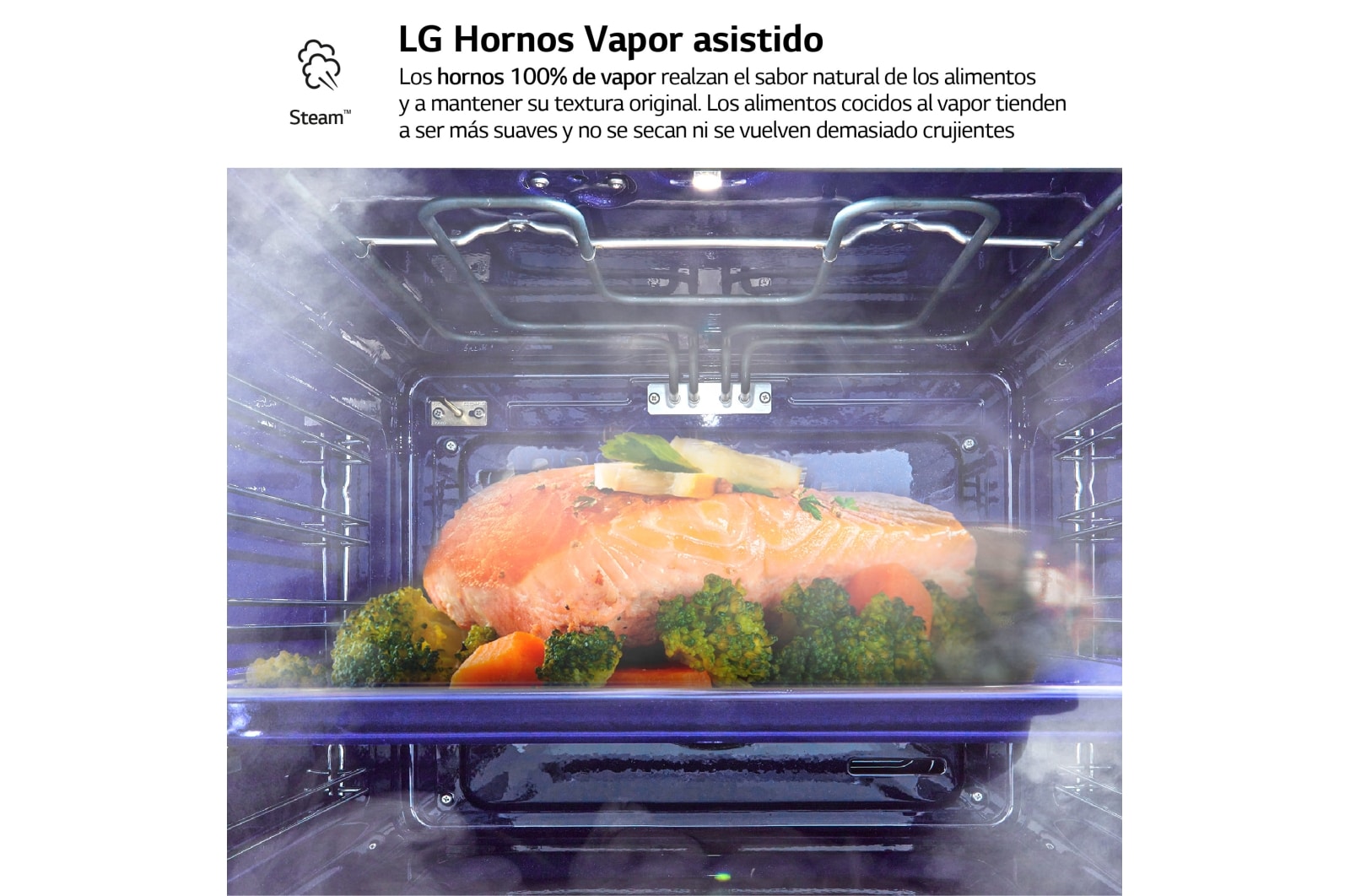 LG Horno LG Instaview 76 litros A++  Freidora de Aire, WSED7667M