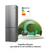 LG Frigorífico Combi 2m, Clasificación C, capacidad de 419l, Inox antihuellas, Serie 600, GBB62PZGCC1