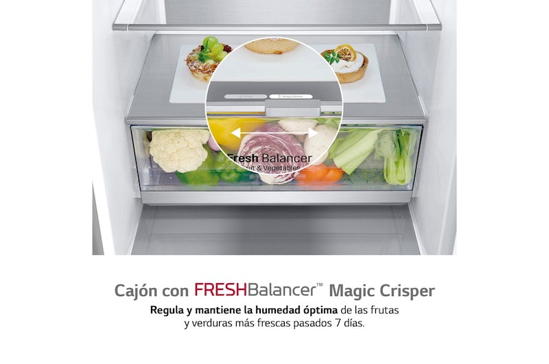 LG Frigorífico Combi 2m, Clasificación un 10% más eficiente que A, 419l, Acero Premium Antihuellas, serie Centum, GBB92MCB1P