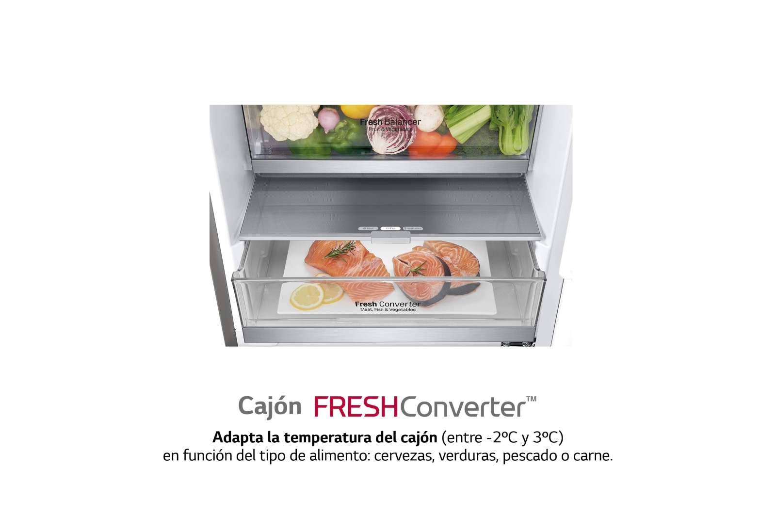 LG Frigorífico Combi 2m, Clasificación B, capacidad de 419l, Acero premium  Antihuellas, serie Centum, GBB92STABP