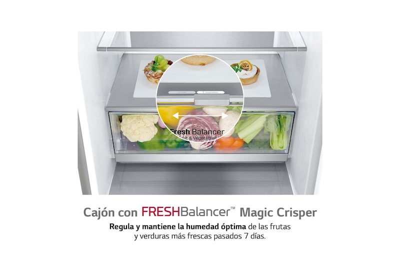 LG Frigorífico Combi 2m, Clasificación A, capacidad de 419l, Acero Premium Antihuellas, serie Centum, GBB92STBAP