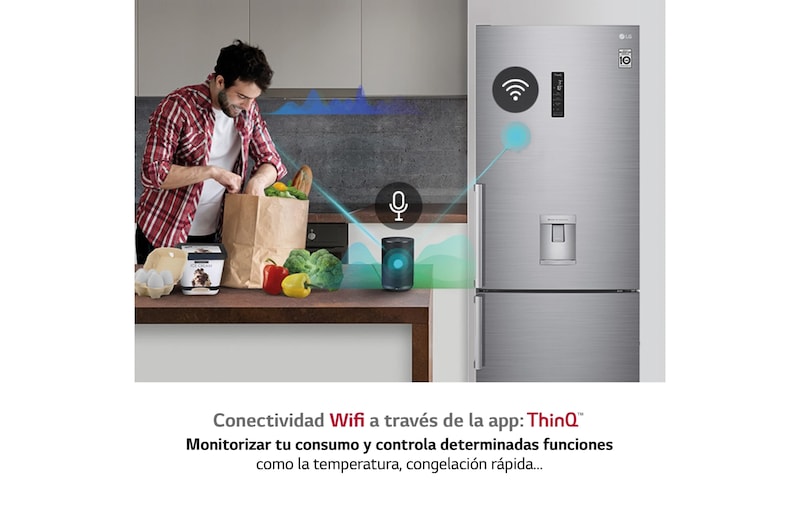 LG Frigorífico Combi 1,85m, Clasificación E,capacidad de 500l, Inox antihuellas, con dispensador de agua serie 70cm, GBF567PZCMB