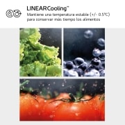 LG Frigorífico combi Instaview con MoodUP Door Cooling+, 1,86 m, Clasificación D, capacidad de 352 l,  Multicolor, GBG719MDNN