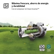 LG Frigorífico Combi LG GBP31SWLZN, 1,86m, E, capacidad de 374l, Blanco, serie 3, GBP31SWLZN