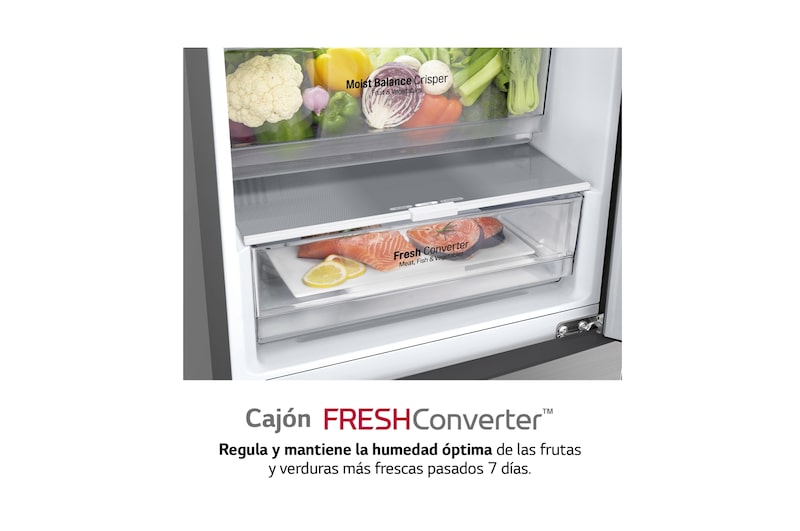 LG Frigorífico Combi 2m, Clasificación C, capacidad de 419l, Inox grafito , serie P-600, GBP62DSNCC1