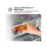 LG Frigorífico Combi Door Cooling+, 2m, Clasificación D, capacidad de 419l, Inox Antihuellas, Serie 500, GBV5240DPY