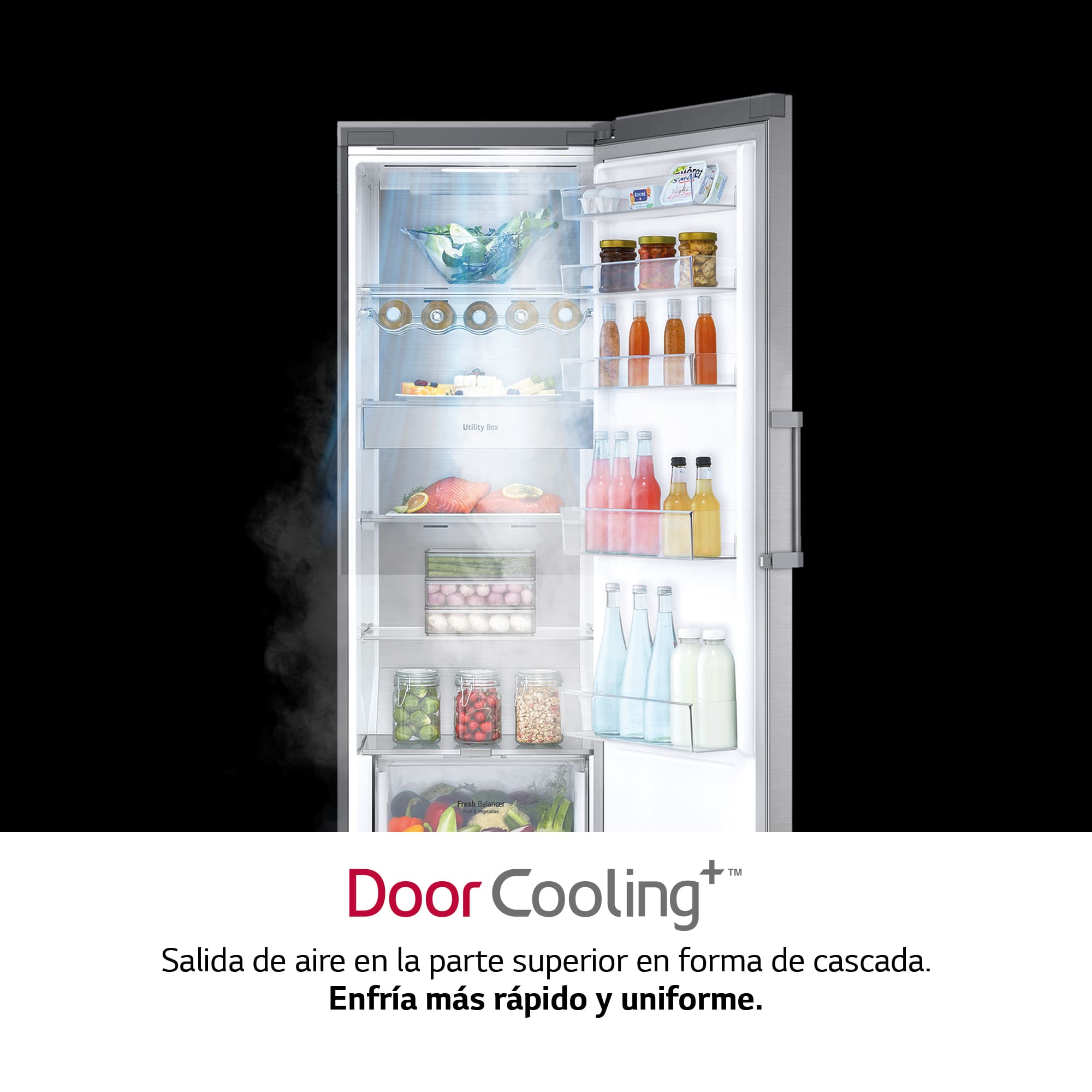 LG Frigorífico 1 puerta Door Cooling, Total No frost, Clasificación D, 413L, Acero inoxidable texturizado, GLM71MBCSF