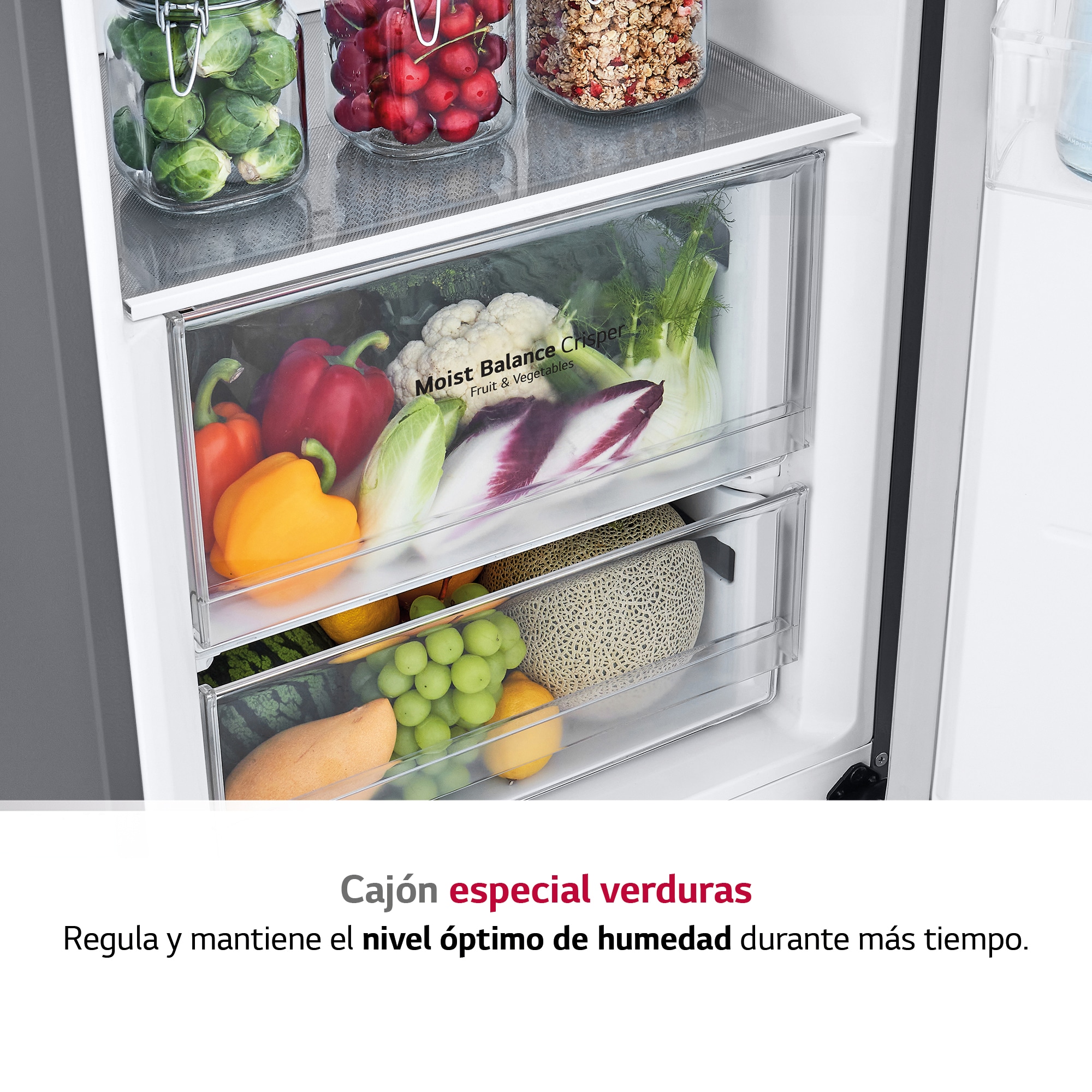 LG Frigorífico 1 puerta Door cooling, Total No Frost, Clasificación E, 413L, Inox antihuellas, GLT51PZGSZ