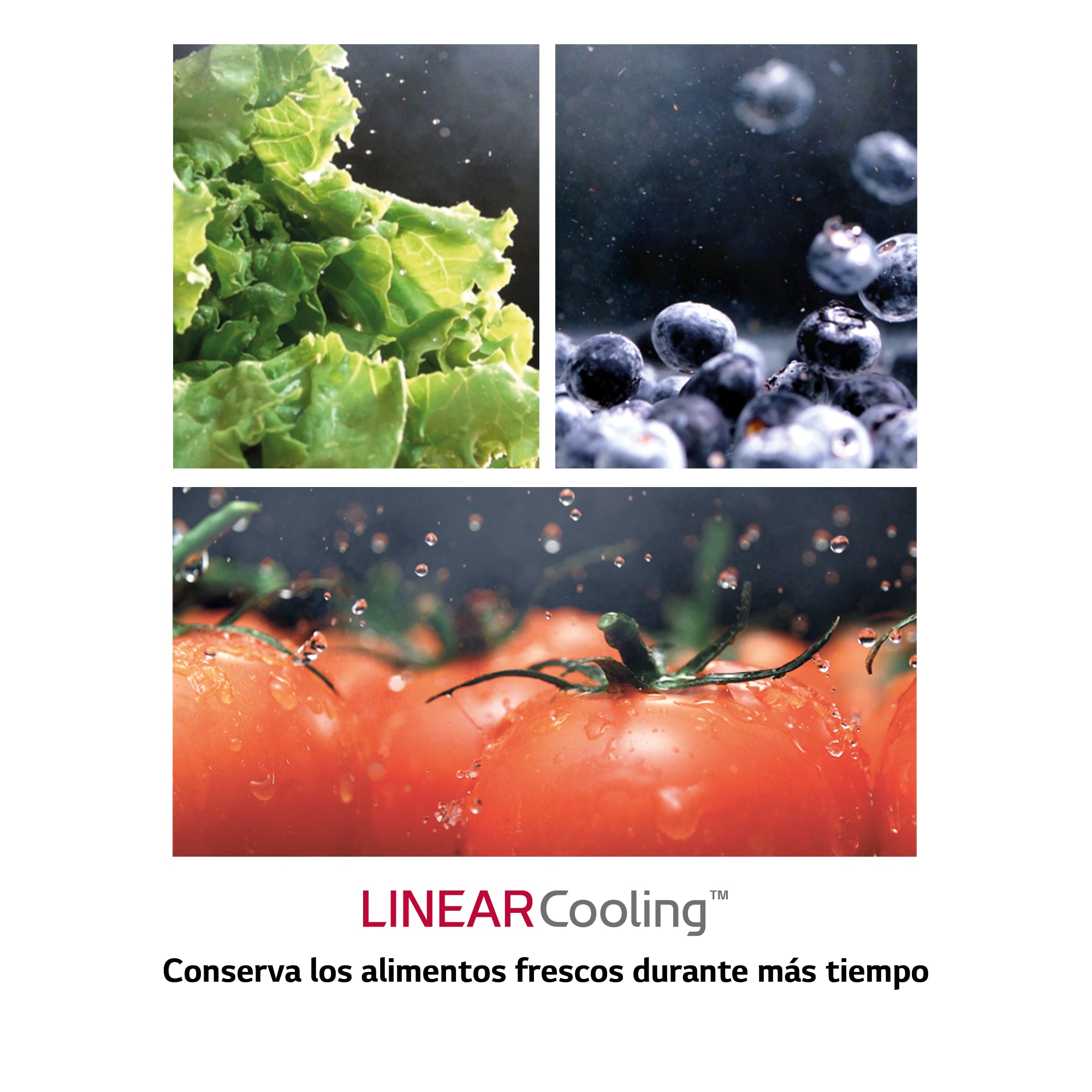 LG Frigorífico Side By side, Serie 300, sin toma de agua, Clasificación F, 634 L, GSLV31PZXM