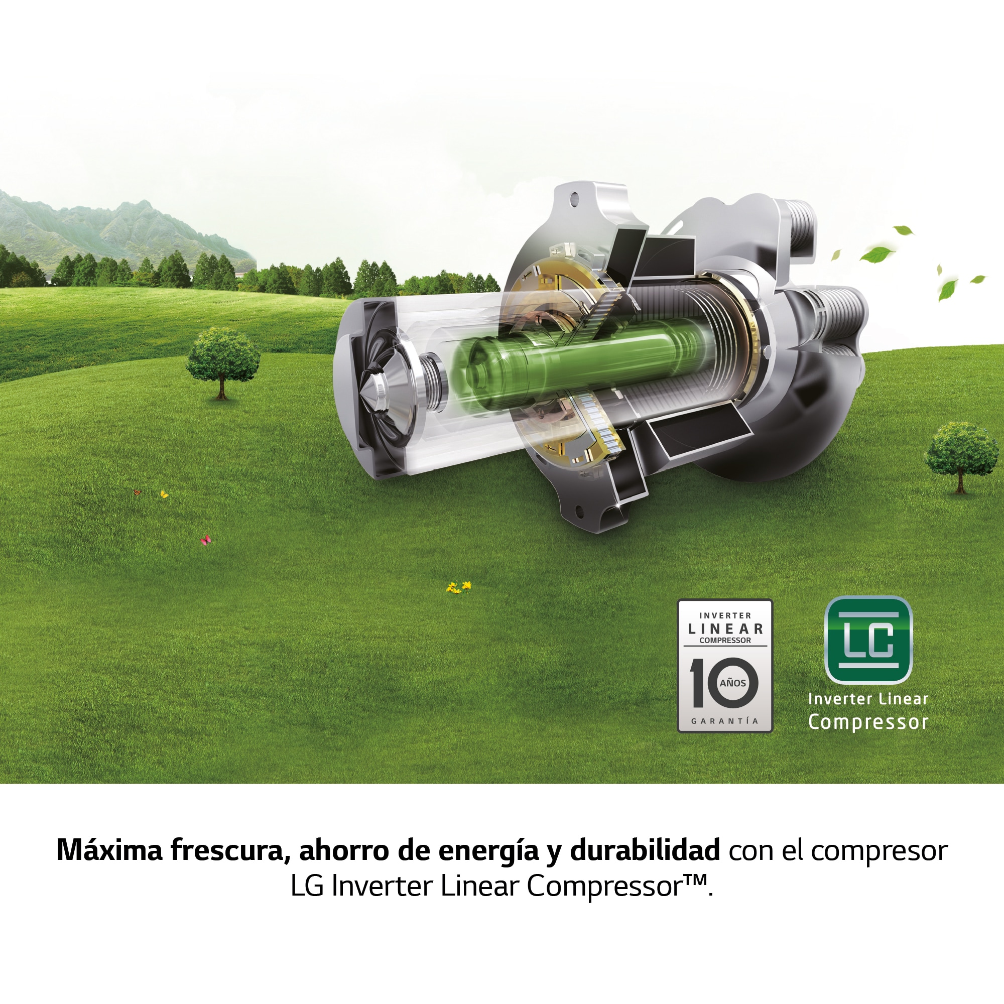 LG Frigorífico Side By side, Serie 300, sin toma de agua, Clasificación F, 634 L, GSLV31PZXM