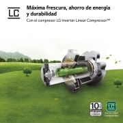 LG Frigorífico Side By side Serie 700, Inverter Linear compressor,  Clasificación D, 635 L, sin toma de agua                 , GSLV71PZTD