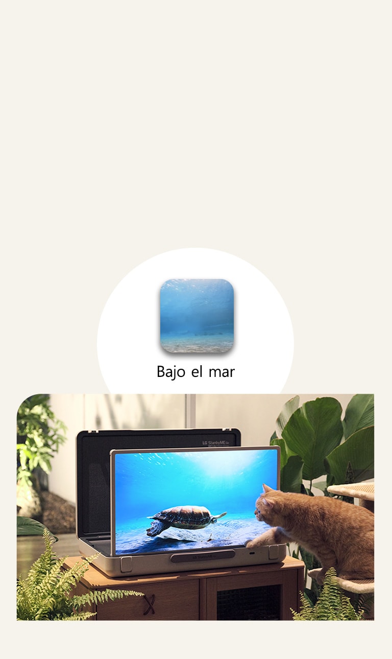El LG StanbyME Go está colocado en el jardín, y la pantalla muestra bajo el mar. Delante de la pantalla hay un gato sentado en un taburete, intentando atrapar una tortuga en la pantalla.