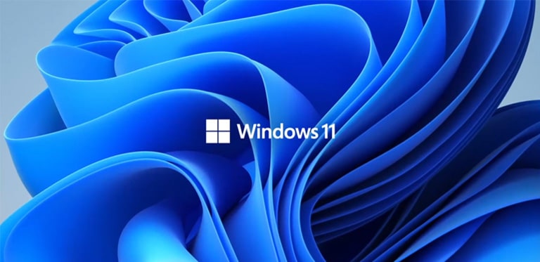 Muestra el logo de Windows 11 y la imagen de fondo