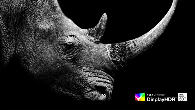La imagen del rinoceronte en la oscuridad expresa la precisión del color.