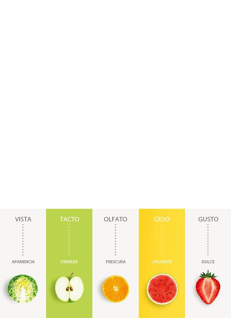 Deleita a tus sentidos