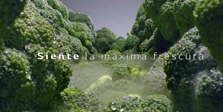 Global_LinearVPlus_2018_Feature_02_2_LinearCooling_D