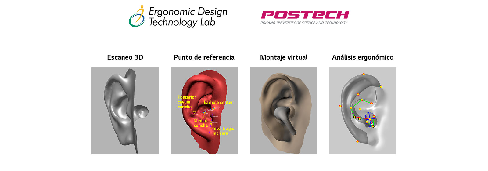 Una imagen en la que se revela la imagen de modelado de orejas en forma 3D en un total de 4 etapas.