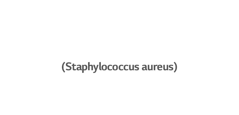 Staphylococcus aureus es una bacteria que puede crear infecciones en los oídos