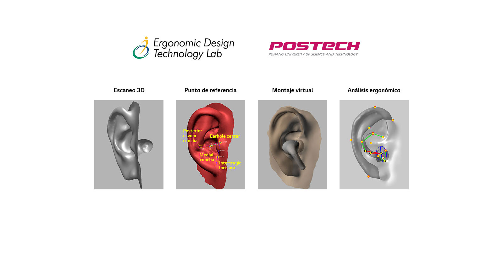 Una imagen en la que se revela la imagen de modelado de orejas en forma 3D en un total de 4 etapas.
