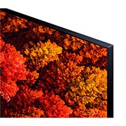 LG 4K UHD, SmartTV webOS 6.0, Procesador de Imagen 4K Quad Core [Clasificación energética G], 50UP80006LA