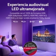 LG TV LG QNED MiniLED 4K 65'' Serie 91, Procesador Gran Potencia, Dolby Vision / Dolby Atmos, Smart TV webOS22, perfecto para gaming., 65QNED916QE