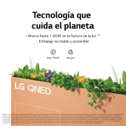 LG TV LG QNED MiniLED 4K 65'' Serie 91, Procesador Gran Potencia, Dolby Vision / Dolby Atmos, Smart TV webOS22, perfecto para gaming., 65QNED916QE