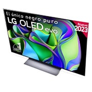 LG TV LG  OLED evo 4K de 48'' C3, Procesador Máxima Potencia, Dolby Vision / Dolby ATMOS, Smart TV webOS23, el mejor TV para Gaming., OLED48C34LA