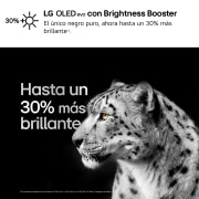 LG 55 pulgadas TV LG OLED AI 4K serie C4  con Smart TV WebOS24, OLED55C46LA